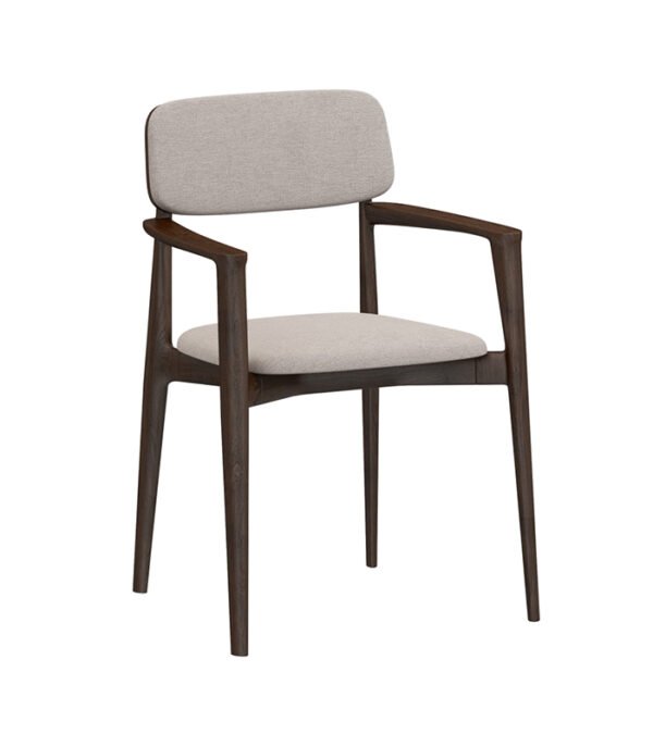Ahoura Premium Chair