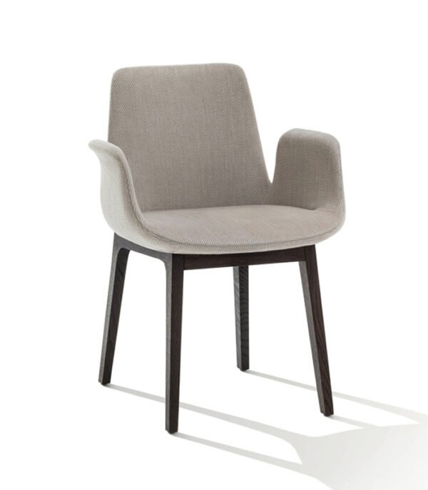 Artimes Premium Chair