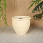 Plant Pot\Vase – Cream (Small)