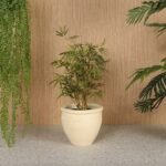 Plant Pot\Vase – Cream (Small) - Image 2
